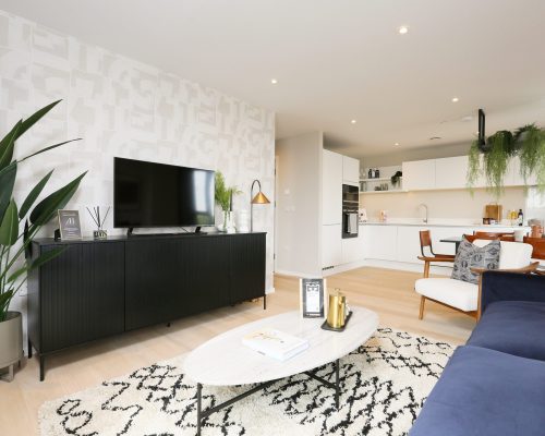 Show Apartment at Brabazon - Living Room (3)